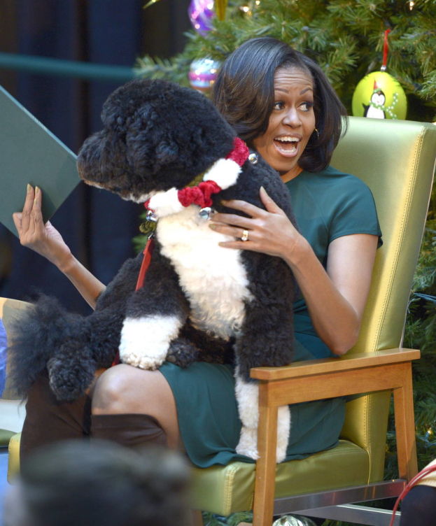 detenido-un-hombre-que-queria-secuestrar-al-perro-de-obama