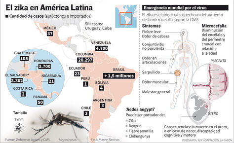 Info zika América Latina.