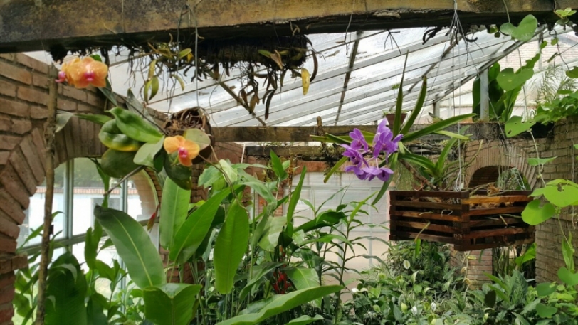 El Jardín Botánico: un lugar que no puedes dejar de visitar