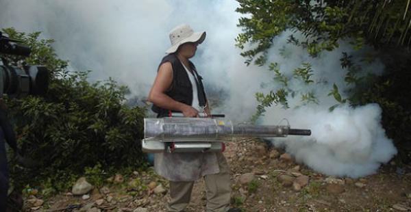 Apuran los operativos contra el mosquito Aedes aegypti en Riberalta