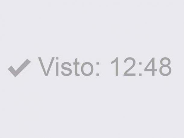 Si te aparece en “Visto” eso quiere decir que la persona recibió tu mensaje y lo ha leído. Solo funciona para computadoras. (Foto: Captura)