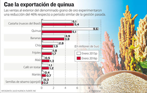 Infografía: Julio Huanca-La Razón/Fuente: INE