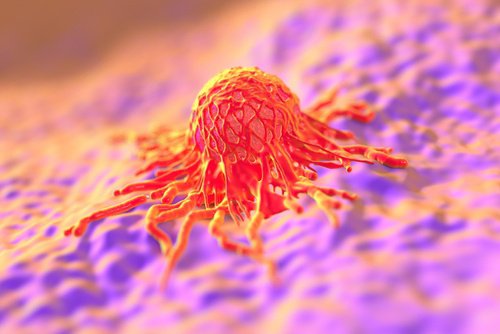 El virus del papiloma