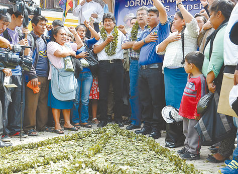 Cochabamba. El presidente Evo Morales, junto a autoridades locales, celebró el Día del Acullico, ayer. Foto: Fernando Cartagena
