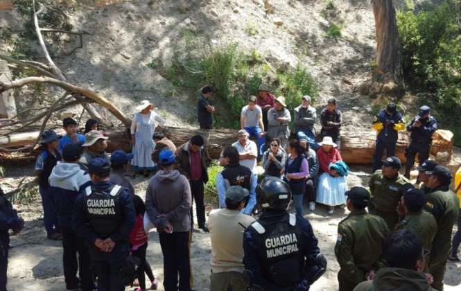 Operativo de la Alcaldía impidió tala de árboles ordenada por supuestos loteadores 