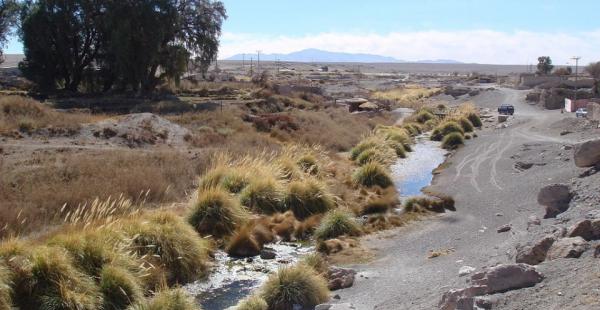 La autoridad edil de esa comuna chilena denunció que las empresas privadas usan el agua y la contaminan.