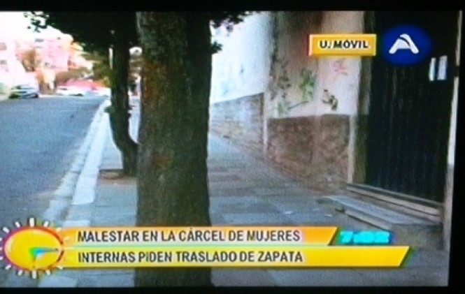 Abogado de Zapata dice que fue aislada y denunció tentativa de asesinato en el penal Abogado de Zapata dice que fue aislada y denunció tentativa de asesinato en el penal