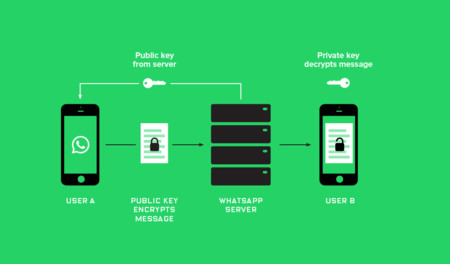 Whatsapp Encryption Proxima 1024x600