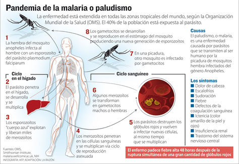 Info malaria.