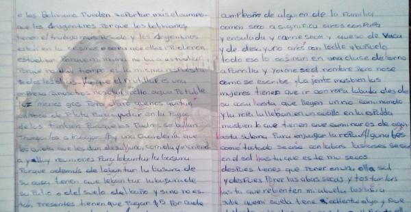 En la imagen se puede ver parte del examen de la niña boliviana que estudia en una pequeña localidad de Mar del Plata. La imagen del fondo es referencial
