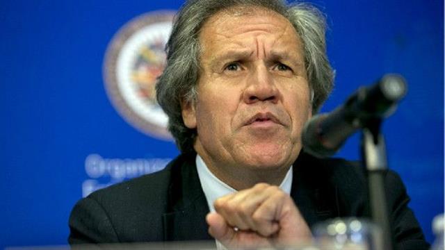 Luis Almagro: el secretario general de la OEA negó que haya una acusación