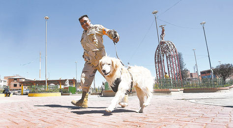 Pareja. Vladimir Chino lleva al can en la Plaza del Minero, en la zona Santiago II, de El Alto. 