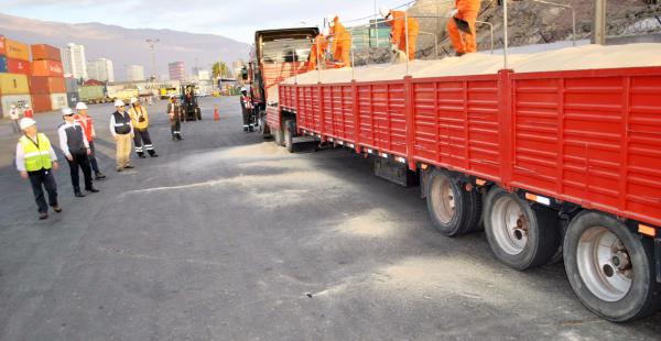 Los camiones con la soya boliviana