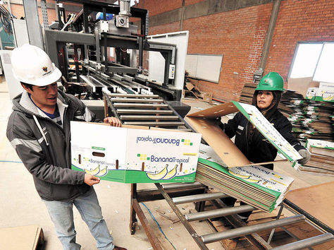 Un obrero en la planta de Cartonbol. Foto: La Razón-archivo