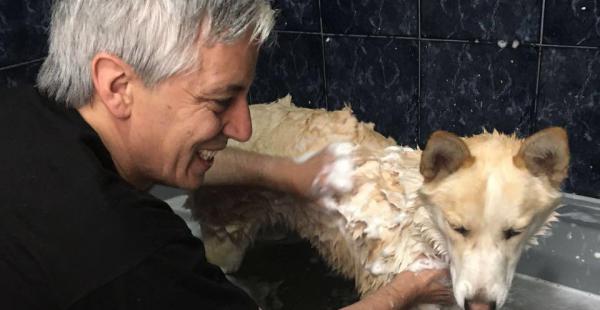 García Linera se dio tiempo para asear a sus perros