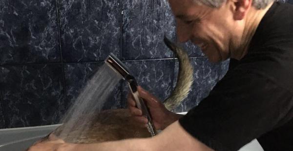 García Linera demostró el cariño que tiene por sus perros