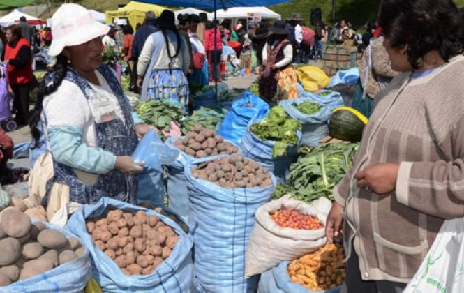 Reporte del INE: Productos de la canasta familiar subieron en 1,22% en mayo