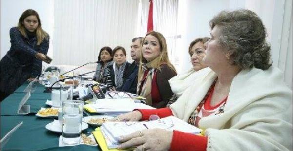 Los concejales aprobaron la ley municipal de emergencia sanitaria por unanimidad