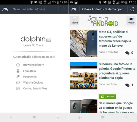 Dolphin