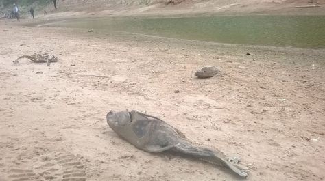 La sequía en el río Pilcomayo. Foto: ABC Color