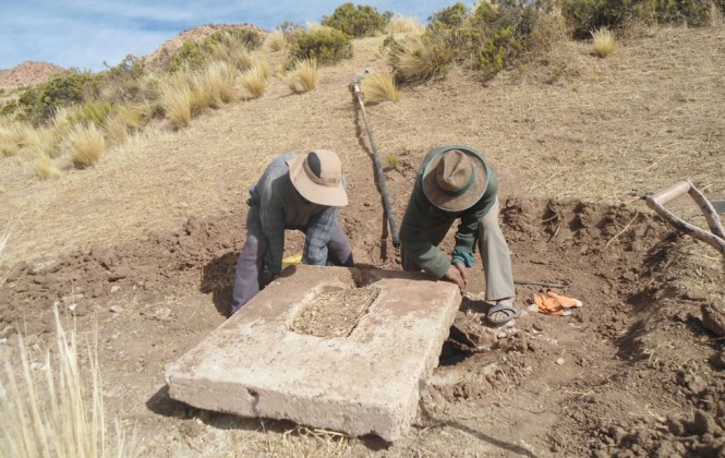 El cambio climático ha provocado la caída de la producción de forraje y papa en el altiplano El cambio climático ha provocado la caída de la producción de forraje y papa en el altiplano