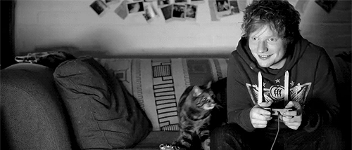 Ed Sheeran juega con su gato Ed Sheeran juega con su gato