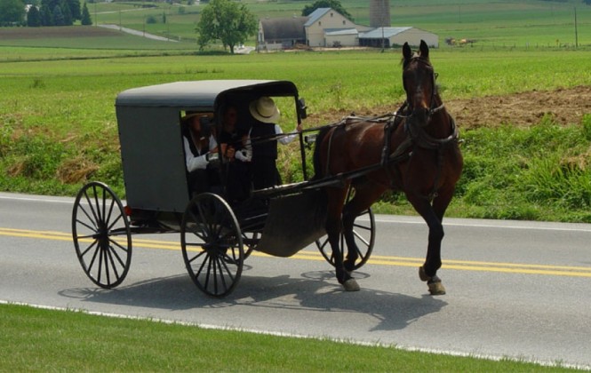 Llegan a Bolivia familias de la antigua secta amish para “absorber” a grupos menonitas