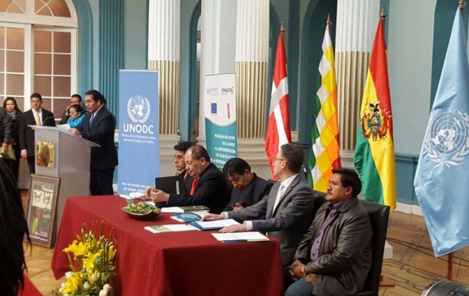 En 2015, Bolivia eliminó más de 11 mil ha de coca, pero su reducción neta fue de 200 hectáreas En 2015, Bolivia eliminó más de 11 mil ha de coca, pero su reducción neta fue de 200 hectáreas