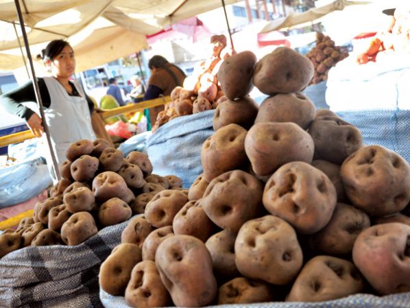 VENTA DE PAPA EN EL MERCADO LA PAMPA. BENJAMÍN JAMES
