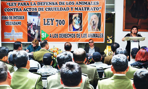 La diputada del MAS, Sonia Brito, se dirige a la audiencia del foro en el que se utilizó una valla que promovía el Sí en diciembre de 2015.