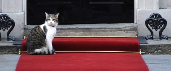GATO