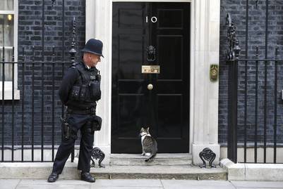 Larry, en la célebre puerta del 10 de Downing street./ Reuters