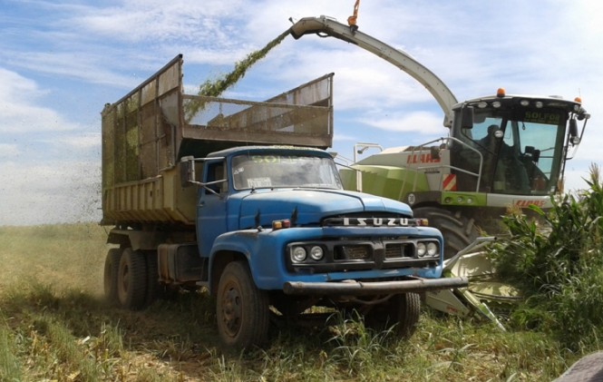 CAO: productores no esperan que el Gobierno les regale dinero a pesar del 80% de pérdidas CAO: productores no esperan que el Gobierno les regale dinero a pesar del 80% de pérdidas