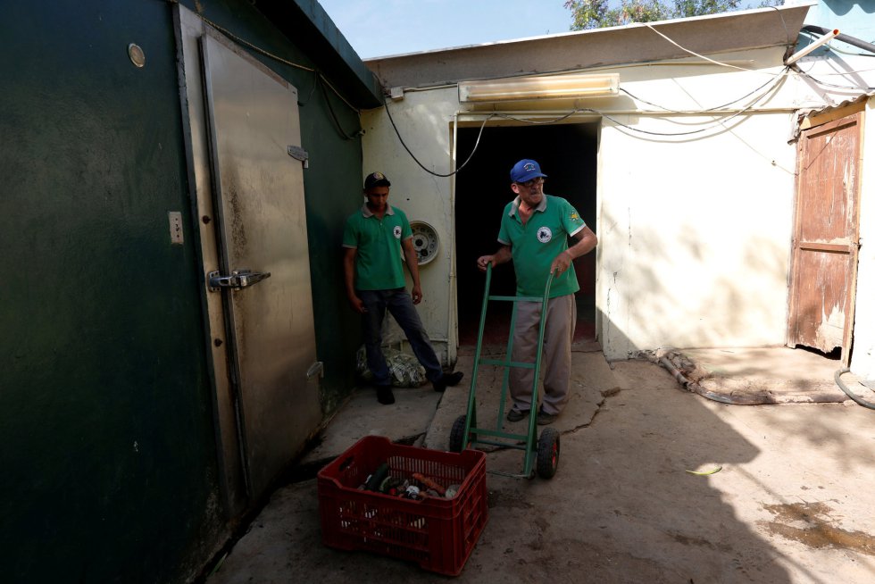 En Venezuela, la inmensa mayoría de los zoos y parques son públicos y están administrados por funcionarios. En consecuencia, la entrada al público es gratuita y dependen de los ingresos del Gobierno para poder funcionar. En la imagen, trabajadores transportan comida donada en el zoo Paraguaná de Punto Fijo, el 22 de julio de 2016.