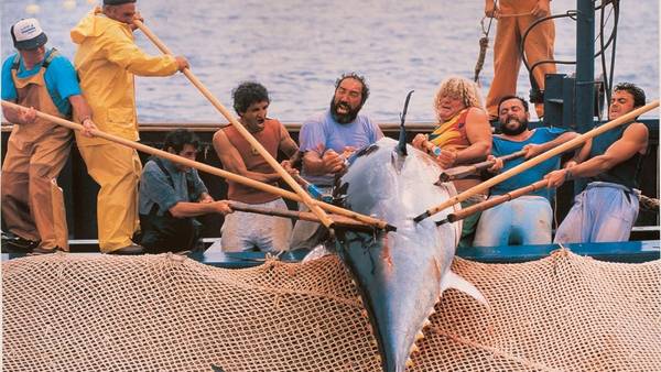 La isla del atún / Cézaro de Luca