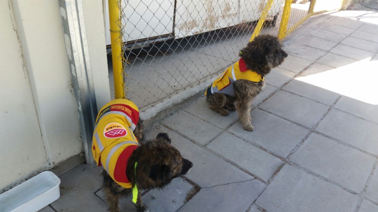 Rastas y Tulipán con sus uniformes ediles en las oficinas del La Paz Bus en el PUC
