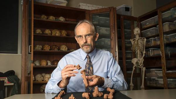 El investigador John Kappelman, de la Universidad de Texas, con piezas de impresión 3D de partes del esqueleto de Lucy. (AFP)