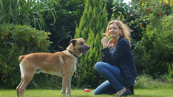 La vida en Alemania de rubio, el perro adoptado por la azafata Olivia Sievers (Facebook).