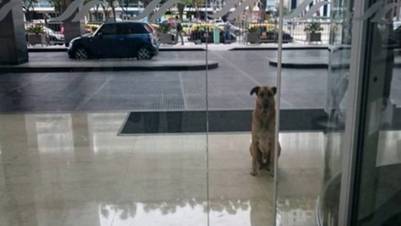 Rubio, en la puerta del hotel de Puerto Madero donde conoció a Olivia.