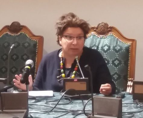 La responsable de justicia fiscal para Oxfam, Susana Ruiz Rodríguez, durante su explicación ante la comisión legislativa. Foto: Cámara de Diputados