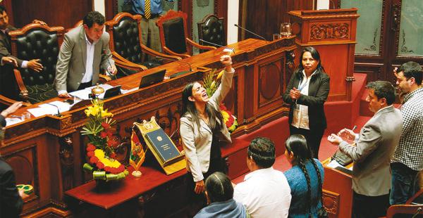 Los diputados supraestatales asumieron el 21 de enero de 2015 en la Cámara de Diputados
