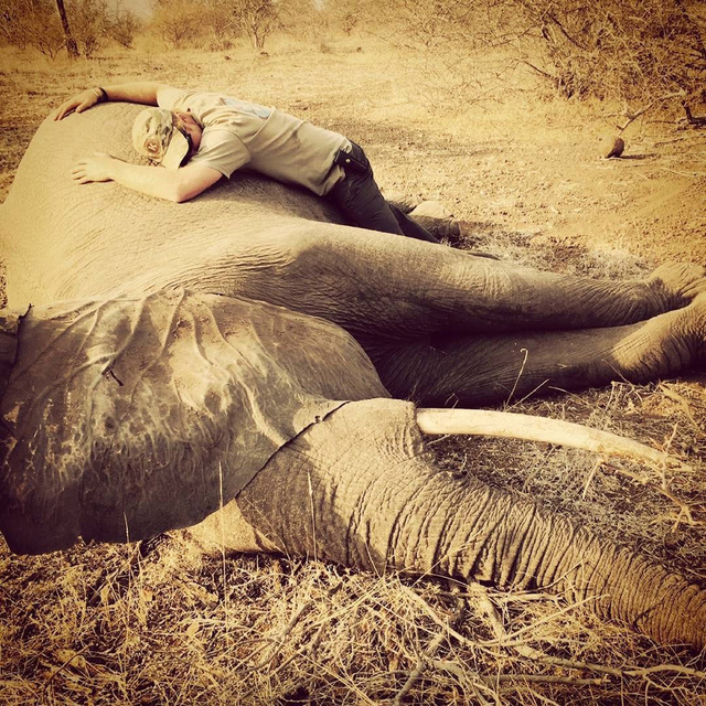 El príncipe Harry abrazando a un elefante en su visita a Sudáfrica el pasado verano.