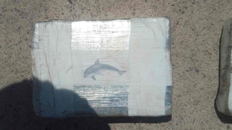 <div>El delfín en uno de los paquetes, no se sabe si está relacionado con el capo narco. Foto: Ismael Chamat</div>