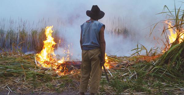 el modelo hace crisis la quema es la única medida que encuentran para deshacerse de los desmontes En Bolivia, 240.000 hectáreas deben arder cada año para ampliar la frontera agrícola