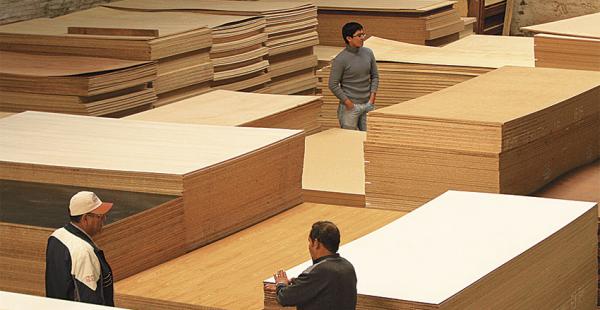El sector forestal es uno de los más golpeados por el ingreso de muebles brasileños a un menor costo. Esperan protección para el mercado local