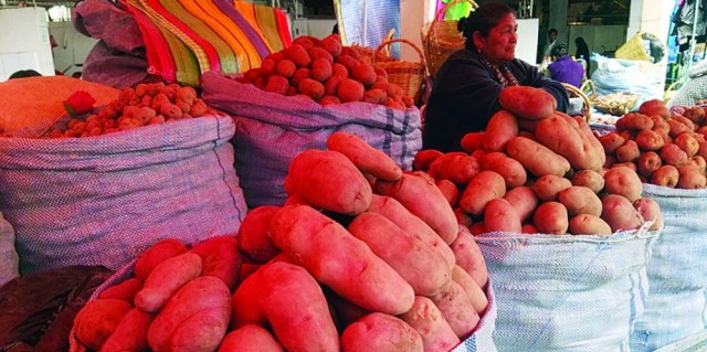 Arroba de papa se dispara a Bs 90; aseguran que hay baja producción