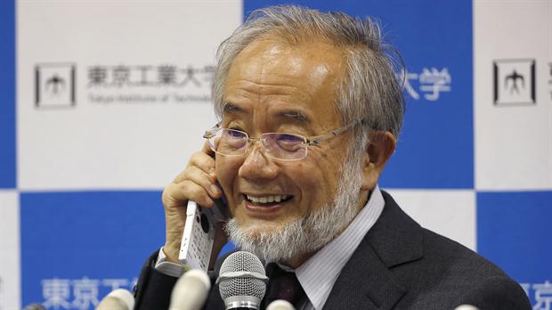 ¿Qué dijo Ohsumi al enterarse que era el nuevo Nobel de Medicina?
