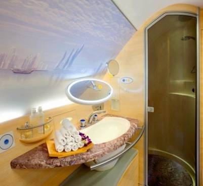 Baño con ducha en Emirates.