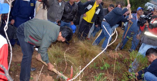 Evo Morales plantó 11 árboles en la comunidad de San Andrés en Tarija,e n octubre del año pasado