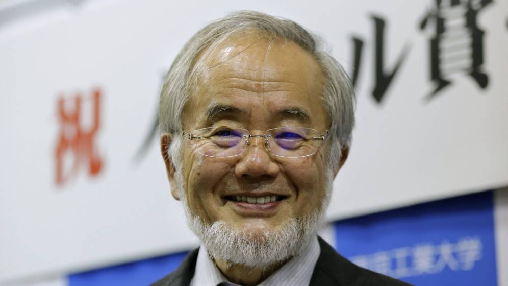 Foto: El científico japonés Yoshinori Ohsumi, premio Nobel de Medicina 2016 por el descubrimiento del mecanismo de la autofagia celular. (EFE)